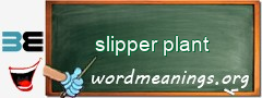 WordMeaning blackboard for slipper plant